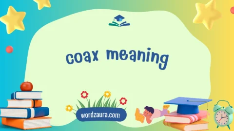 coax meaning