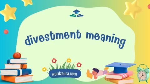 divestment meaning
