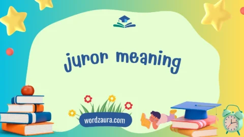 juror meaning