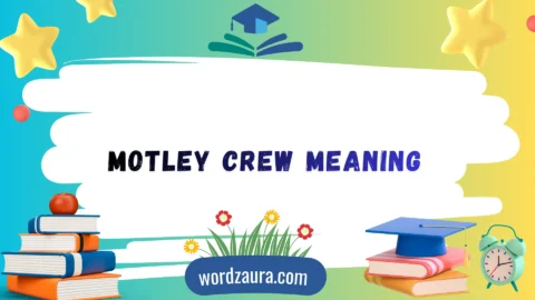motley crew meaning