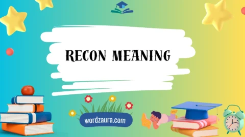 recon meaning