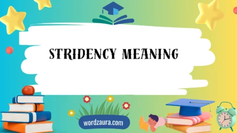 stridency meaning