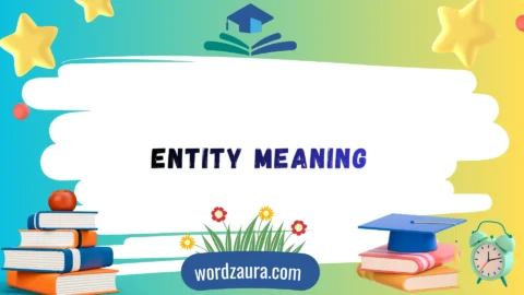 entity meaning