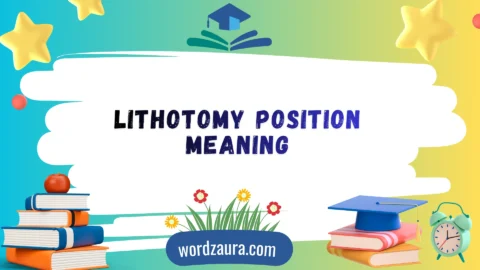 lithotomy position meaning