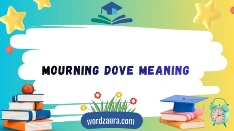 mourning dove meaning