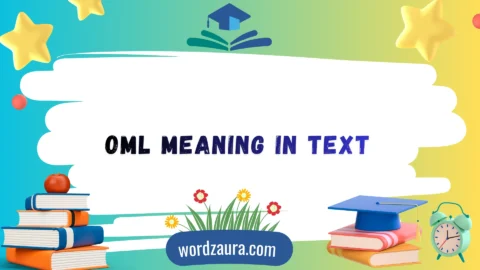 oml meaning in text