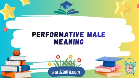 performative male meaning