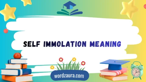 self immolation meaning