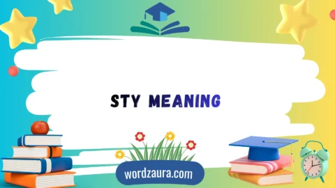 sty meaning