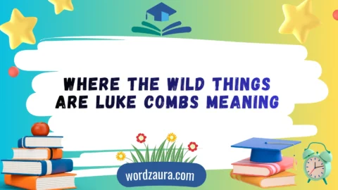 where the wild things are luke combs meaning