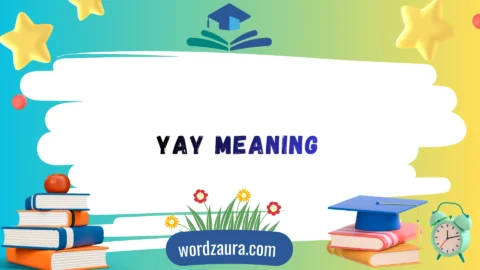 yay meaning
