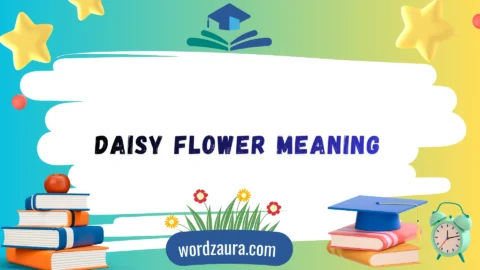 daisy flower meaning
