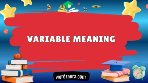 variable meaning