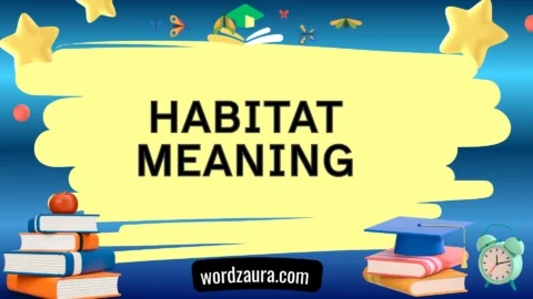 habitat meaning