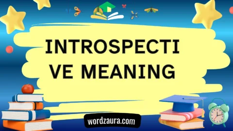 introspective meaning