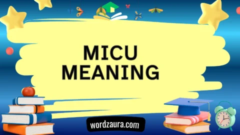 micu meaning