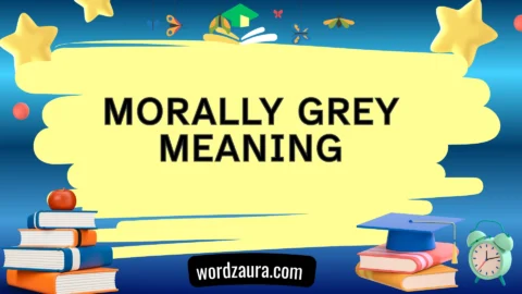morally grey meaning
