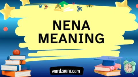 nena meaning