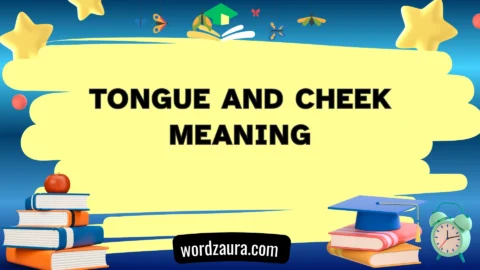 tongue and cheek meaning