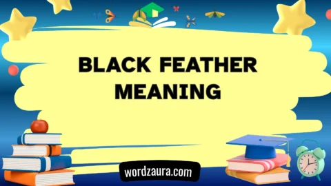 black feather meaning
