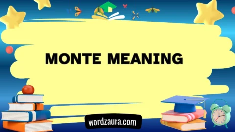 monte meaning