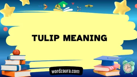 tulip meaning