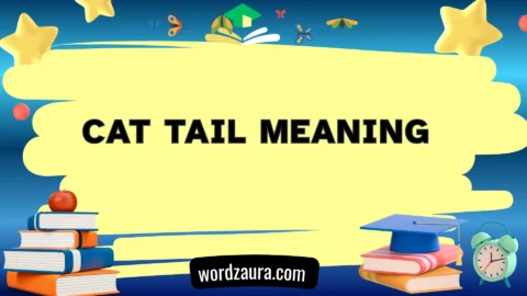 cat tail meaning