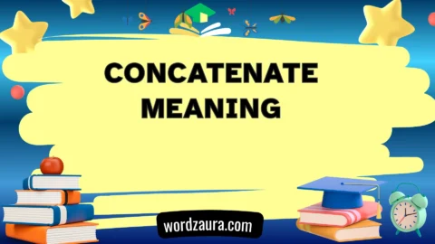 concatenate meaning