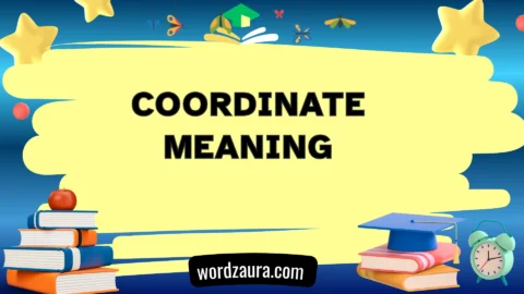 coordinate meaning