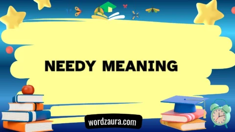 needy meaning