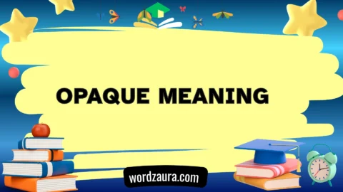 opaque meaning