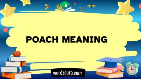 poach meaning