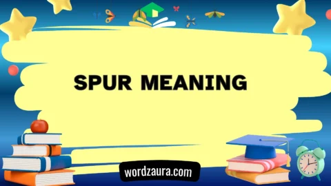 spur meaning