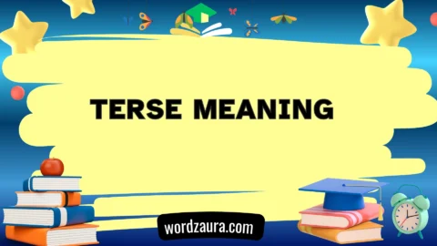 terse meaning